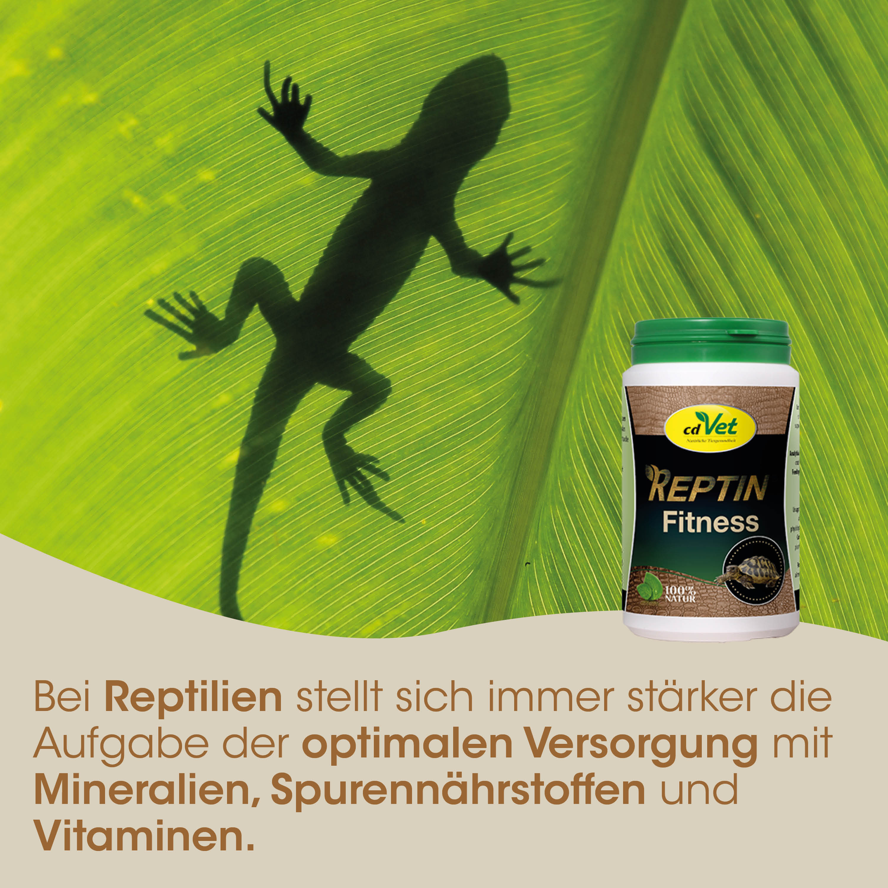 Reptilienpflege, Fitness Nahrungsergänzung, Mineralien, Spurenstoffe, Vitamine