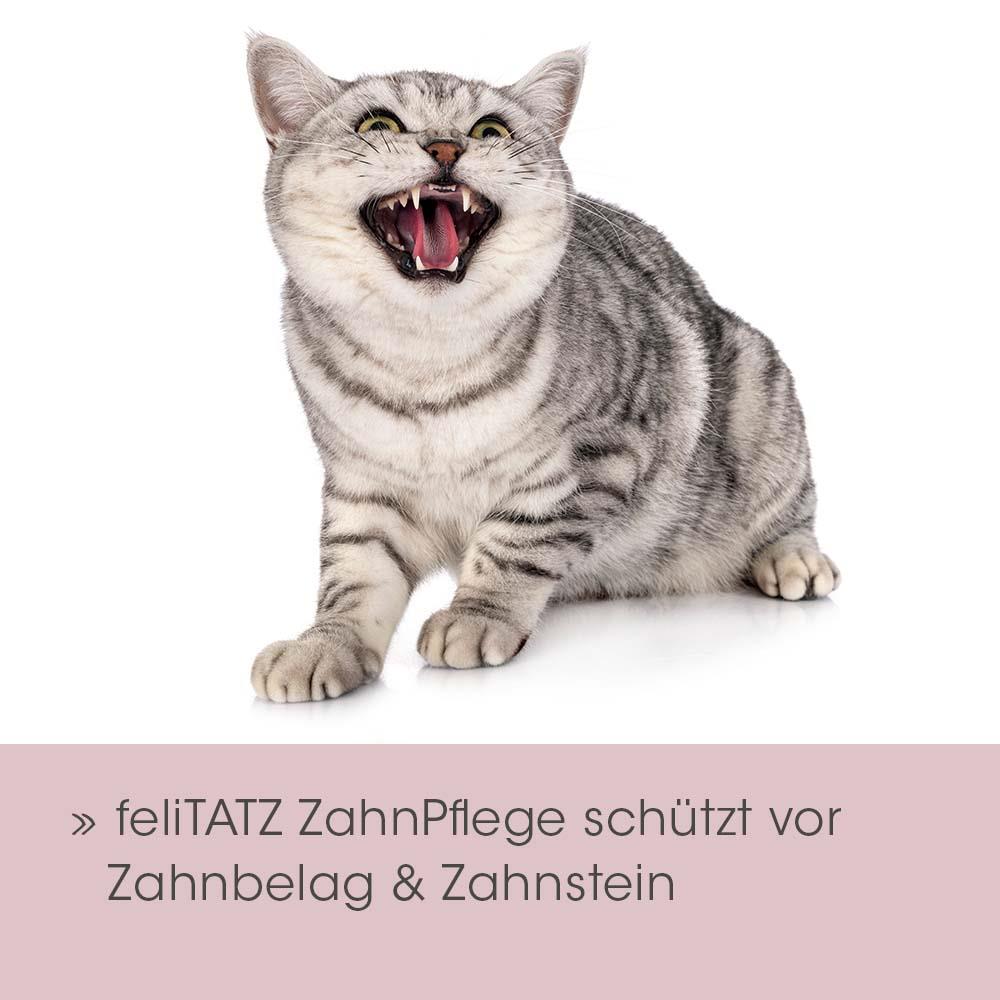 feliTATZ ZahnPflege 20ml