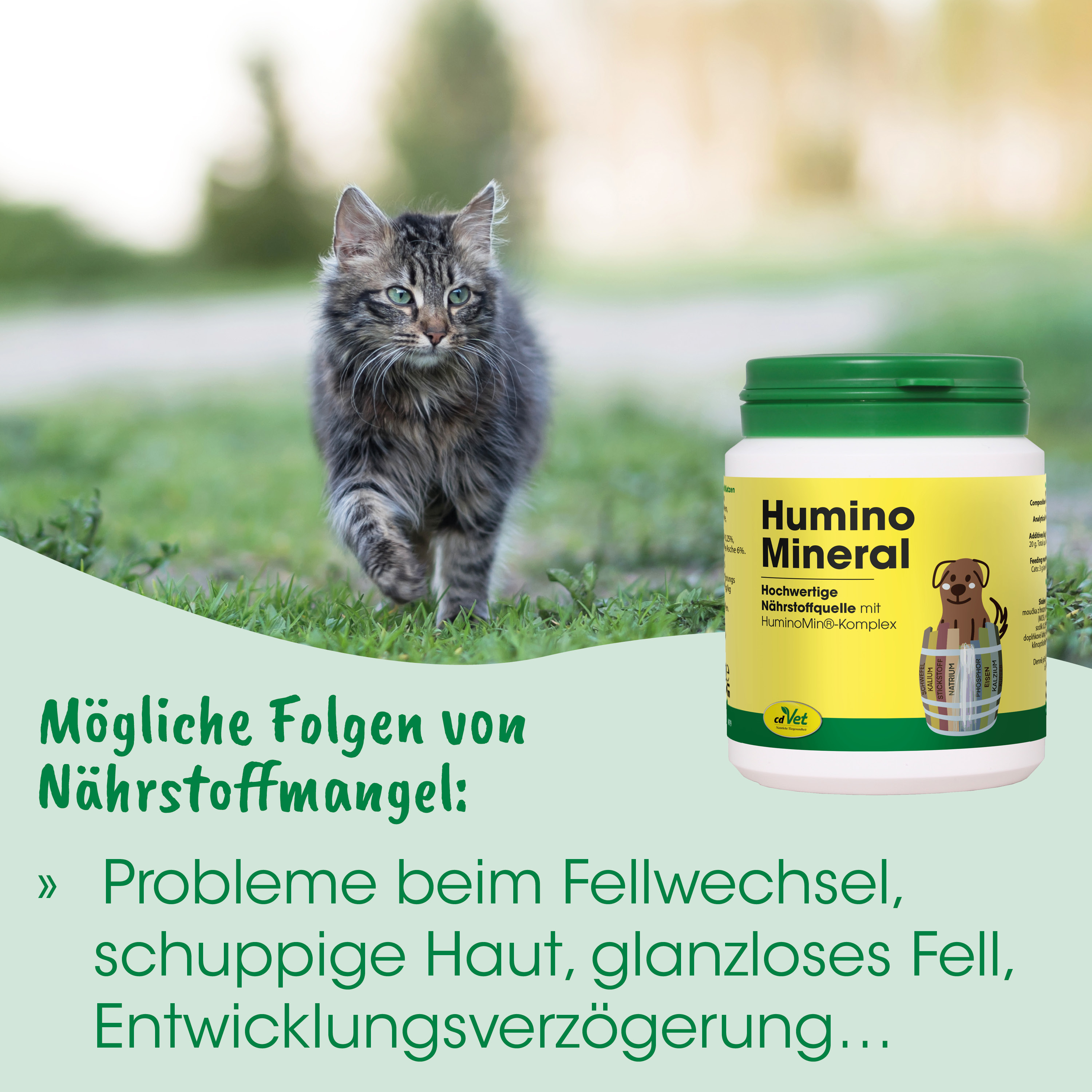Katze, Fell, Katzenfutter, Nährstoffquelle, Produktverpackung