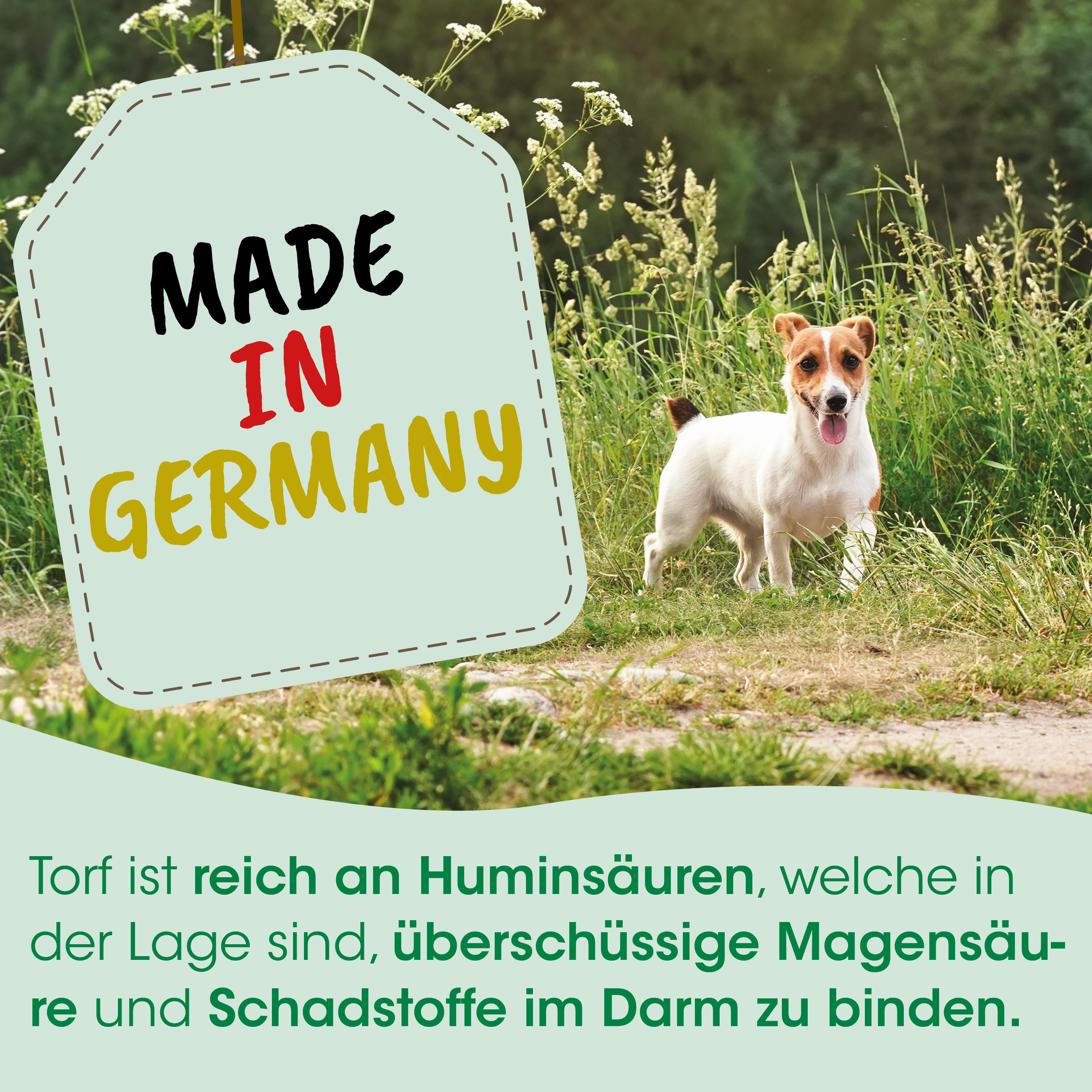 Hund, Spielzeug?