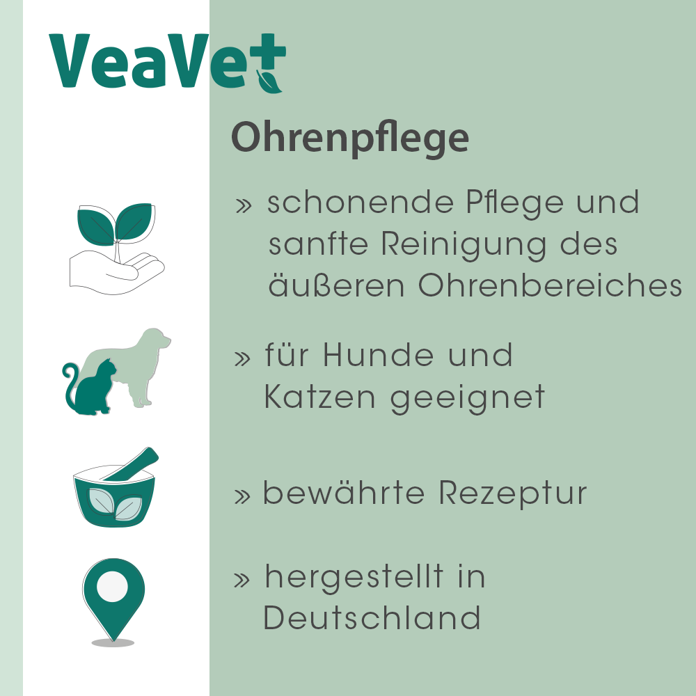 Werbung, Plakat, Hund, Säugetier, Haustier
