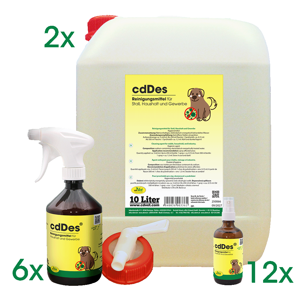 cdDes Fitness-Studios-Set XXL Essen, Würzen, Sirup