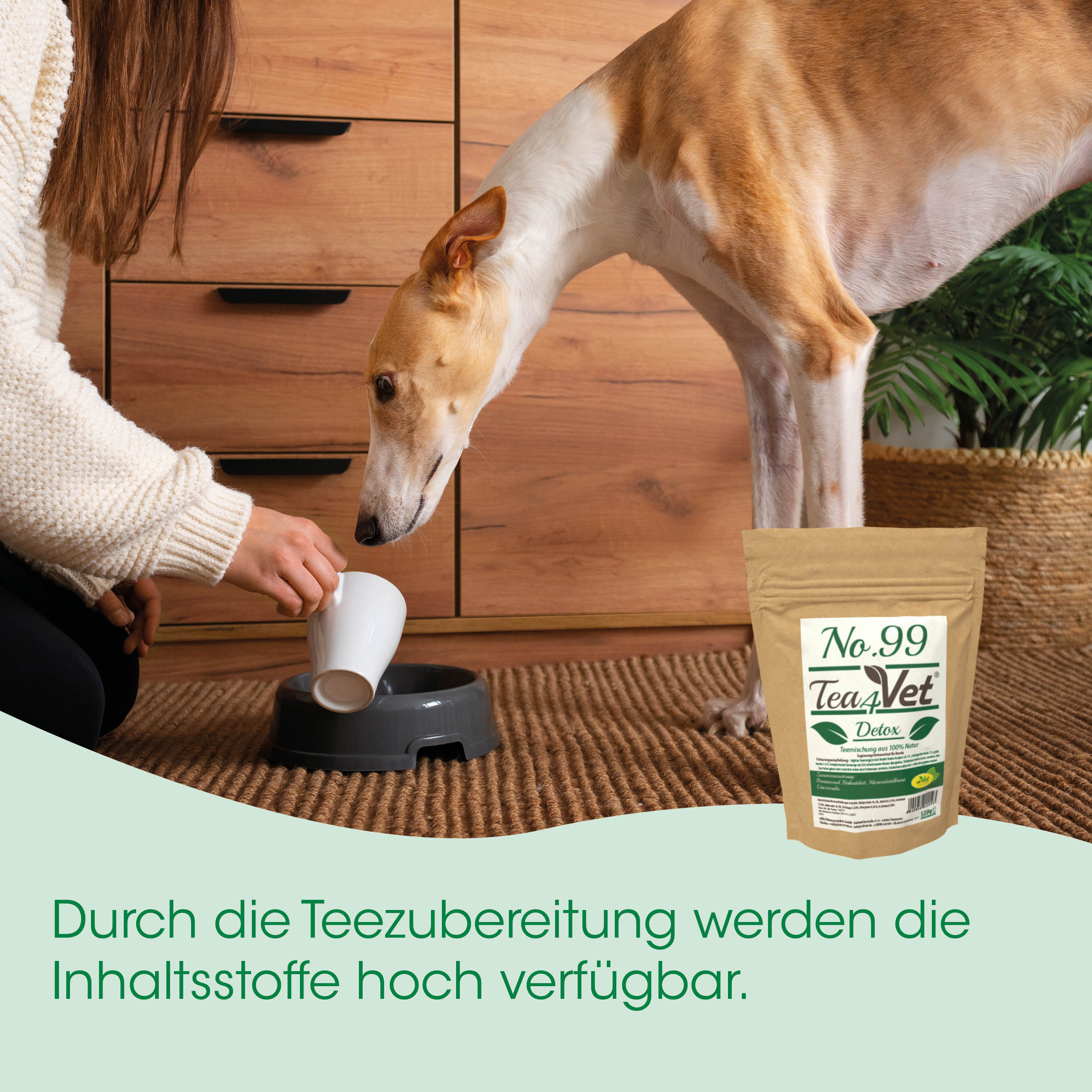 Hund, Hundenahrung, Tierprodukt, Detox-Tee, Hunde-Napf