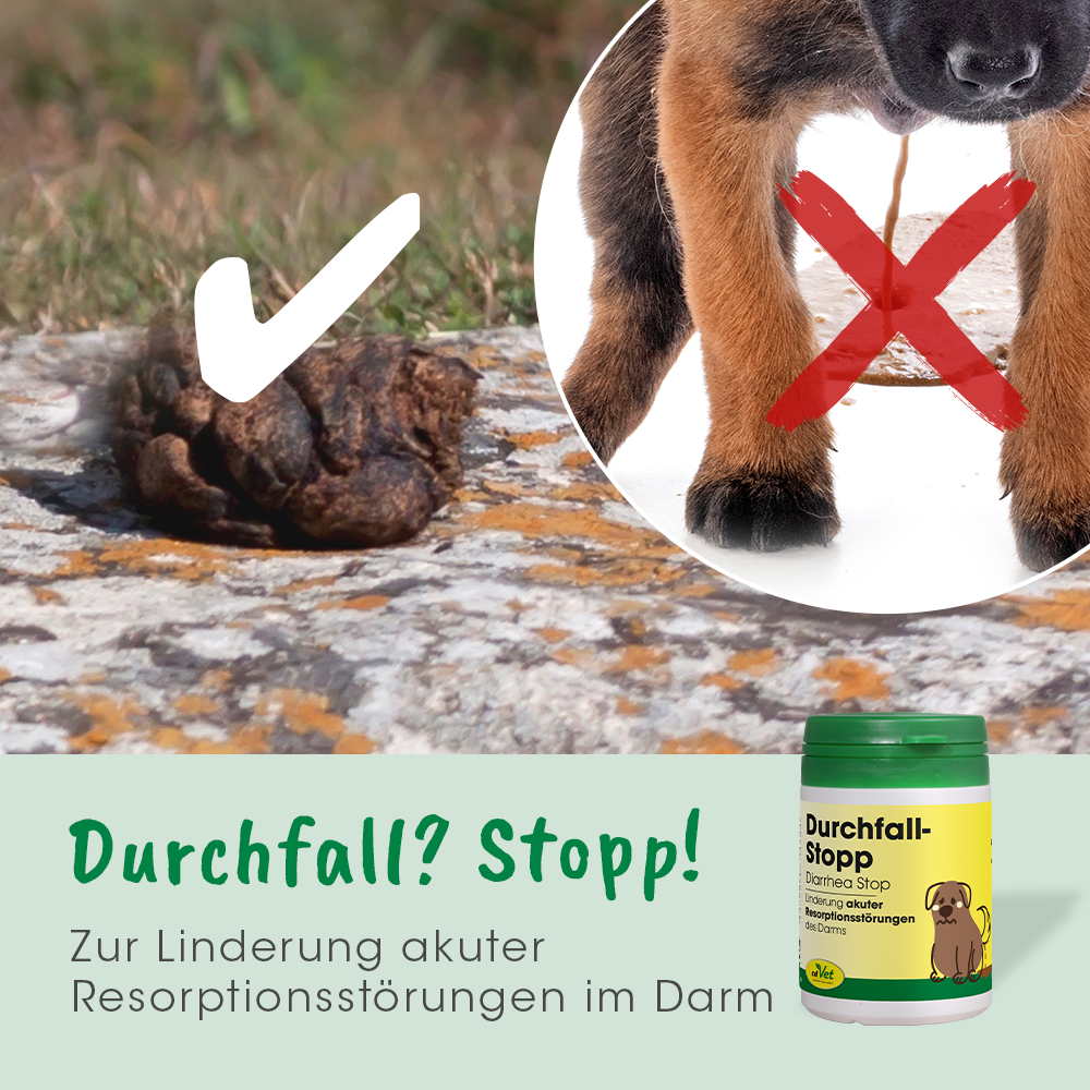 DurchfallStopp 100 Kapseln DurchfallStopp 100 Kapseln