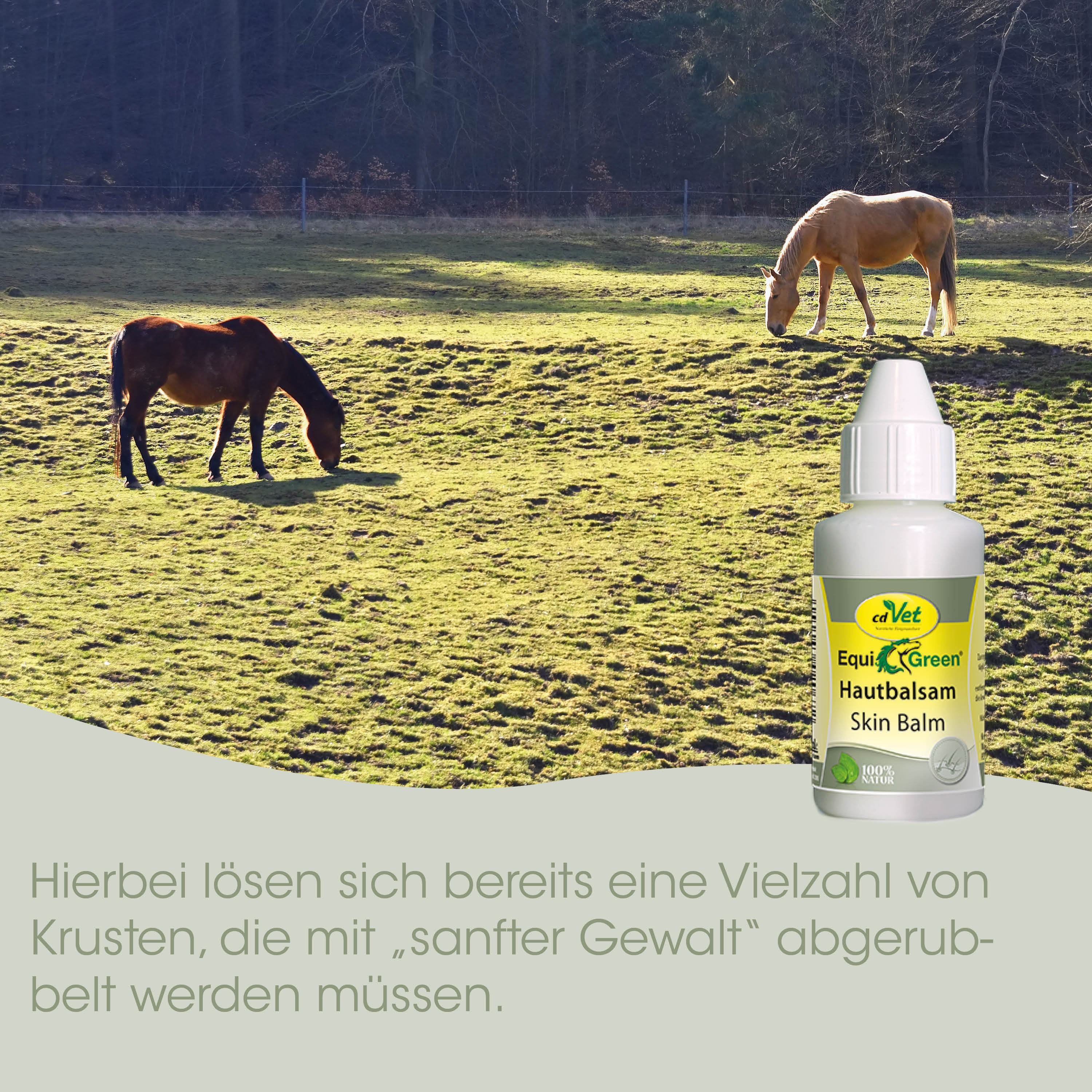 Pferd, Weide, Hautbalsam, Hautpflege, Flasche