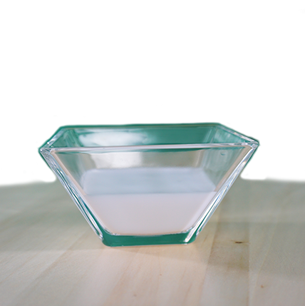 insektoVet Umgebungsspray 100 ml