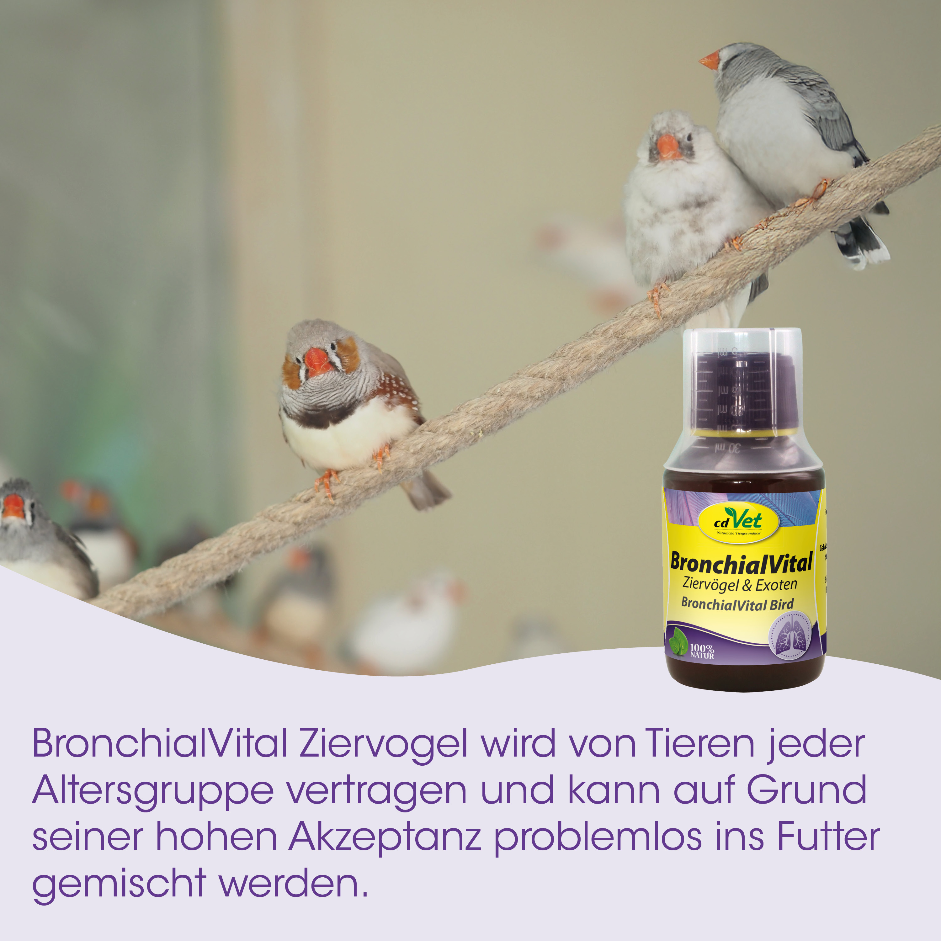 Vögel, Wellensittich, Tierbedarf, Flüssiges Medikament, BronchialVital