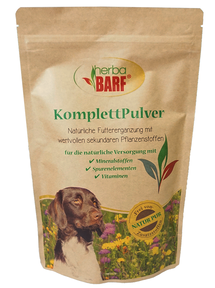 Kräuterig, Kräuter, Pflanze, Hund, Haustier
