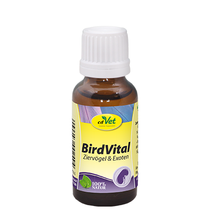 BirdVital BirdVital