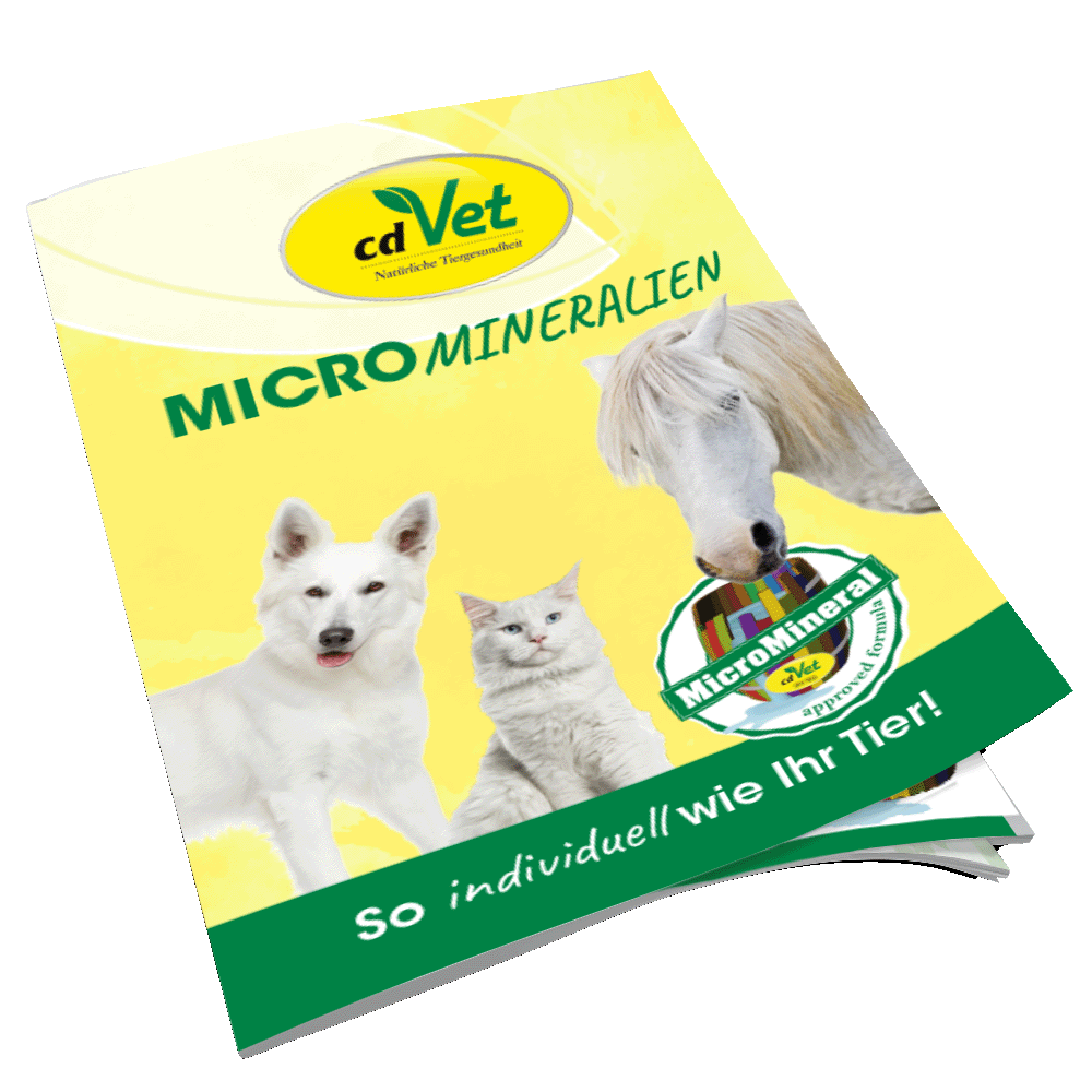 Broschüre MicroMineral A5 Broschüre MicroMineral A5