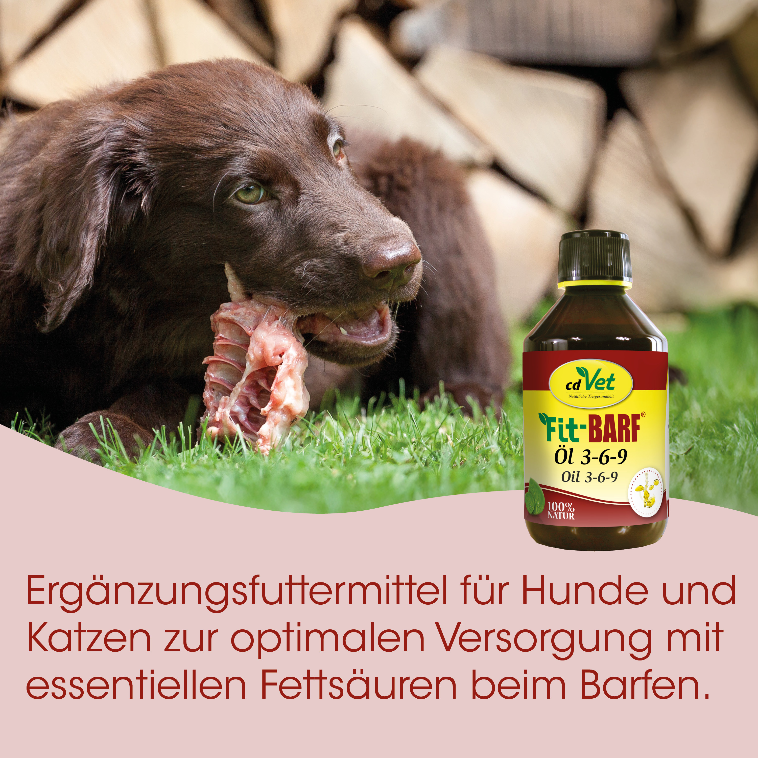 Hund, Knochen, Hundeernährung, Öl-Ergänzung, Flasche Etikett