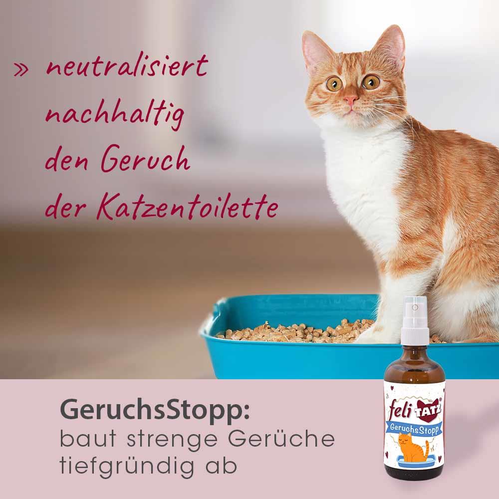 feliTATZ GeruchsStopp 500 ml